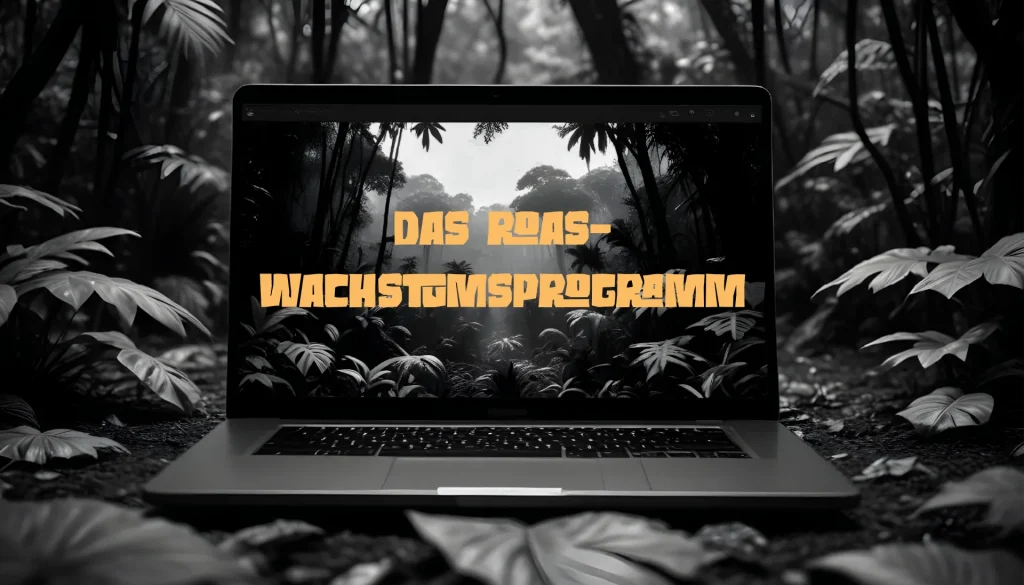 Das ROAS-Wachstumsprogramm